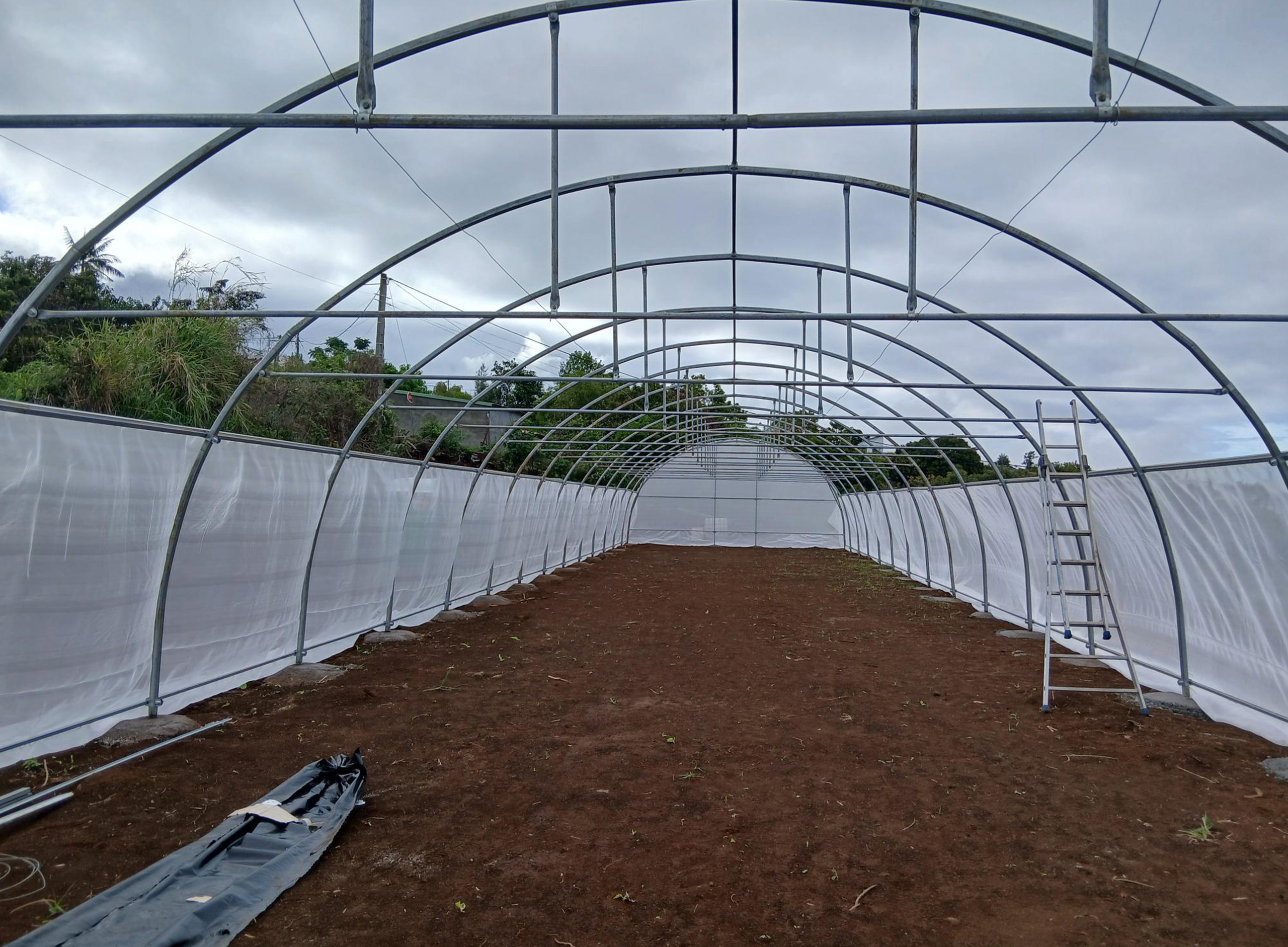 L'agence d'architecture NFAU a con&ccedil;u un projet de serres agricoles &agrave; La R&eacute;union, r&eacute;pondant aux exigences de la production mara&icirc;ch&egrave;re et horticole.